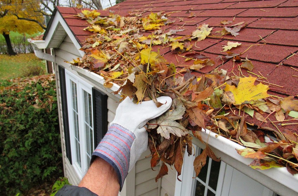 Gloved hand removes leaves from a backed up gutter system